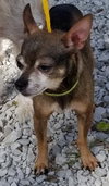 Cortez - bonded w/Kandy