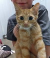Buttercup@Petsmart