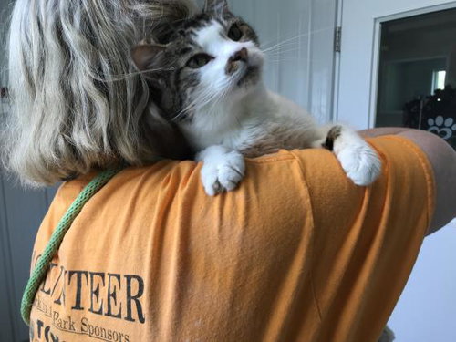 Chester
