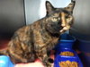 Tricks