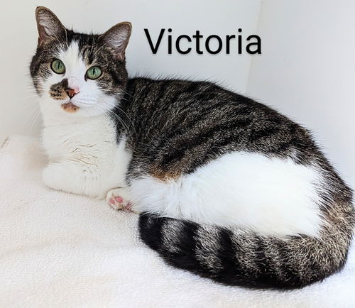 Victoria