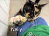 Nelly