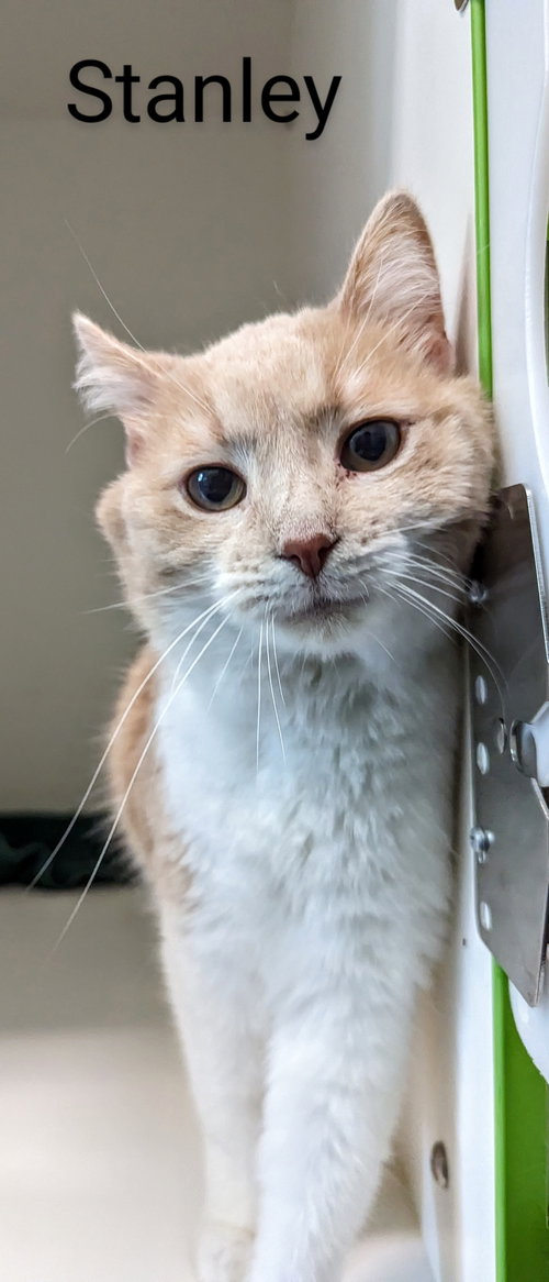 Stanley