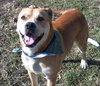 Clancy (Capone)