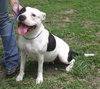 Twyla