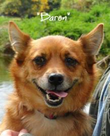 Baron