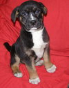 Tucker