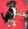 Tucker