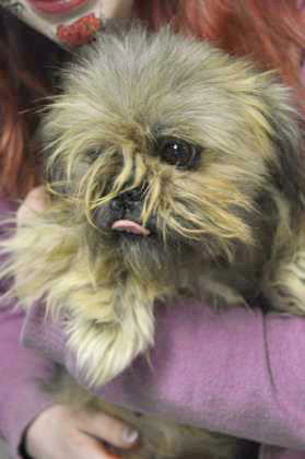 Chewy