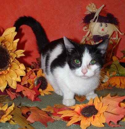 Dorothy