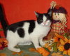Dorothy