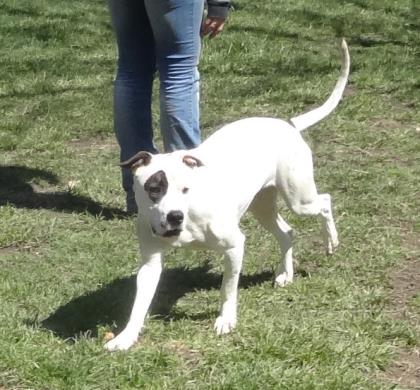 Correl