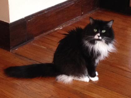 Bootsie