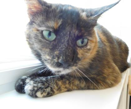 Sophie