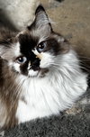 JACKIE - Photo 2