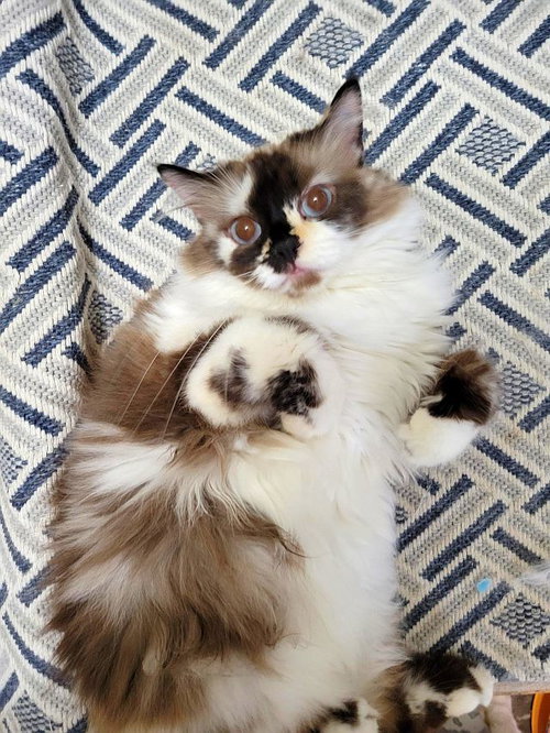 Photo of JACKIE