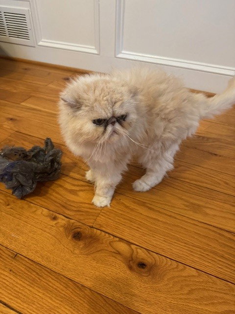 BAXTER