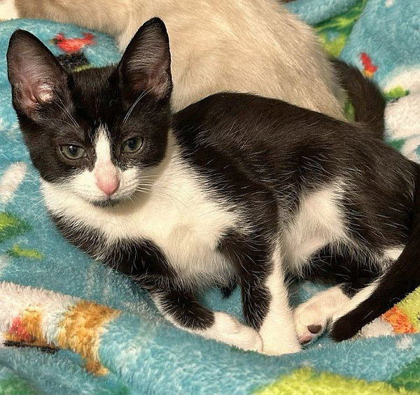 MINNIE