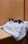 Outlaw - Photo 2