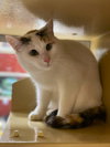 Penelope - Photo 3