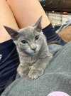 Tilly - Photo 3
