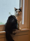 Katey - Photo 2