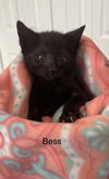 Bess