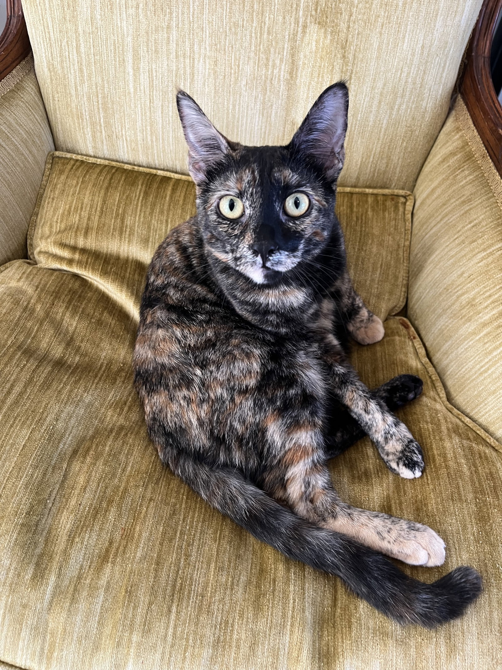 Caramel