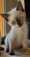 Thelma