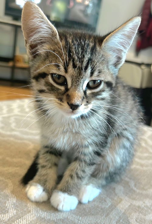 Benny