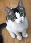 Roxie
