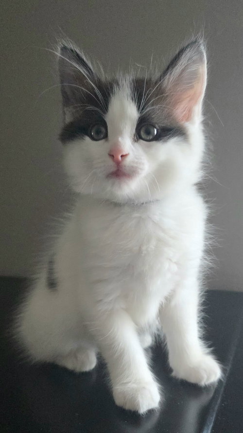 Marco