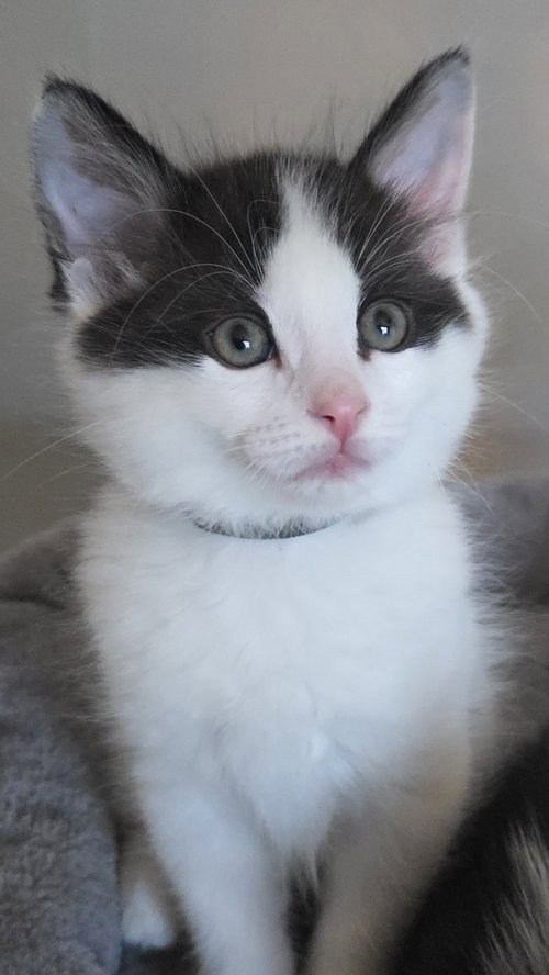 Marco