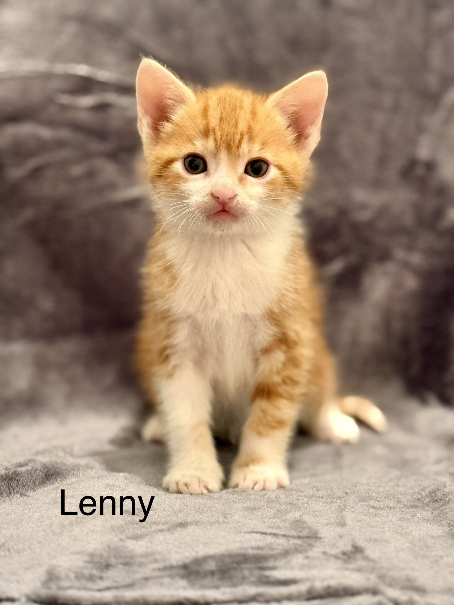 Lenny
