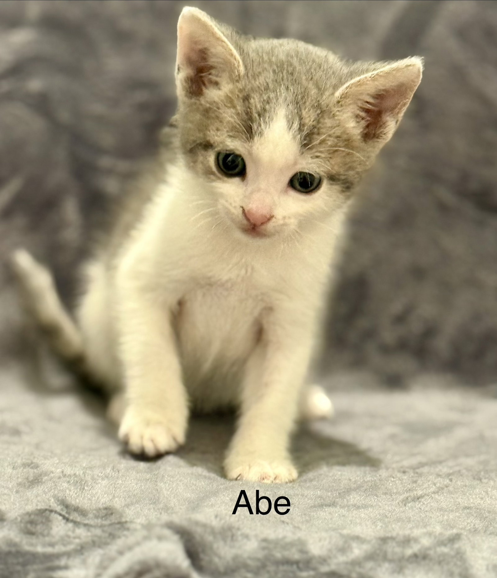 Abe