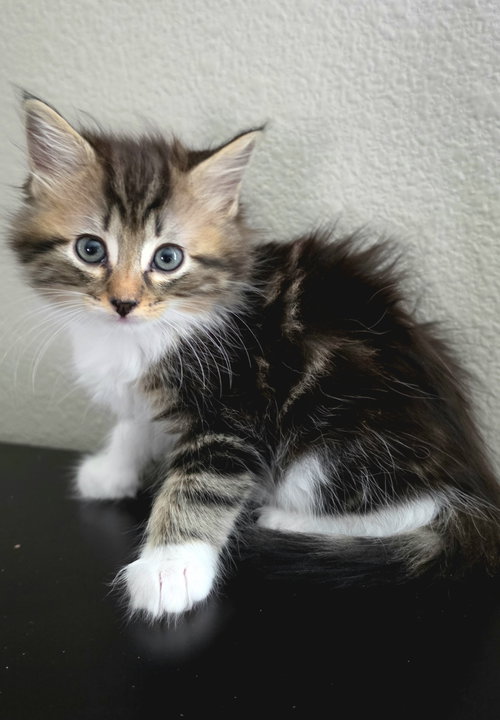 Margot photo 2