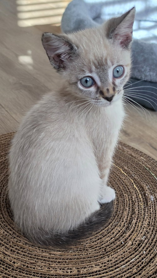 Photo 3 of Eloise