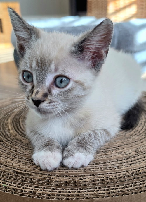Photo 6 of Eloise