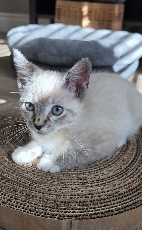 Photo 5 of Eloise