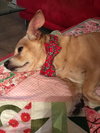 COURTESY POSTING DIDGET - Photo 3