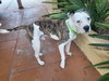 COURTESY POST Albus - Photo 5