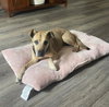 COURTESY POST Maizey - Photo 1