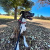 COURTESY POSTING Miko - Photo 4