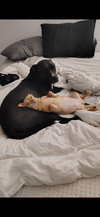COURTESY POSTING Billy - Photo 3