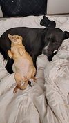 COURTESY POSTING Billy - Photo 4