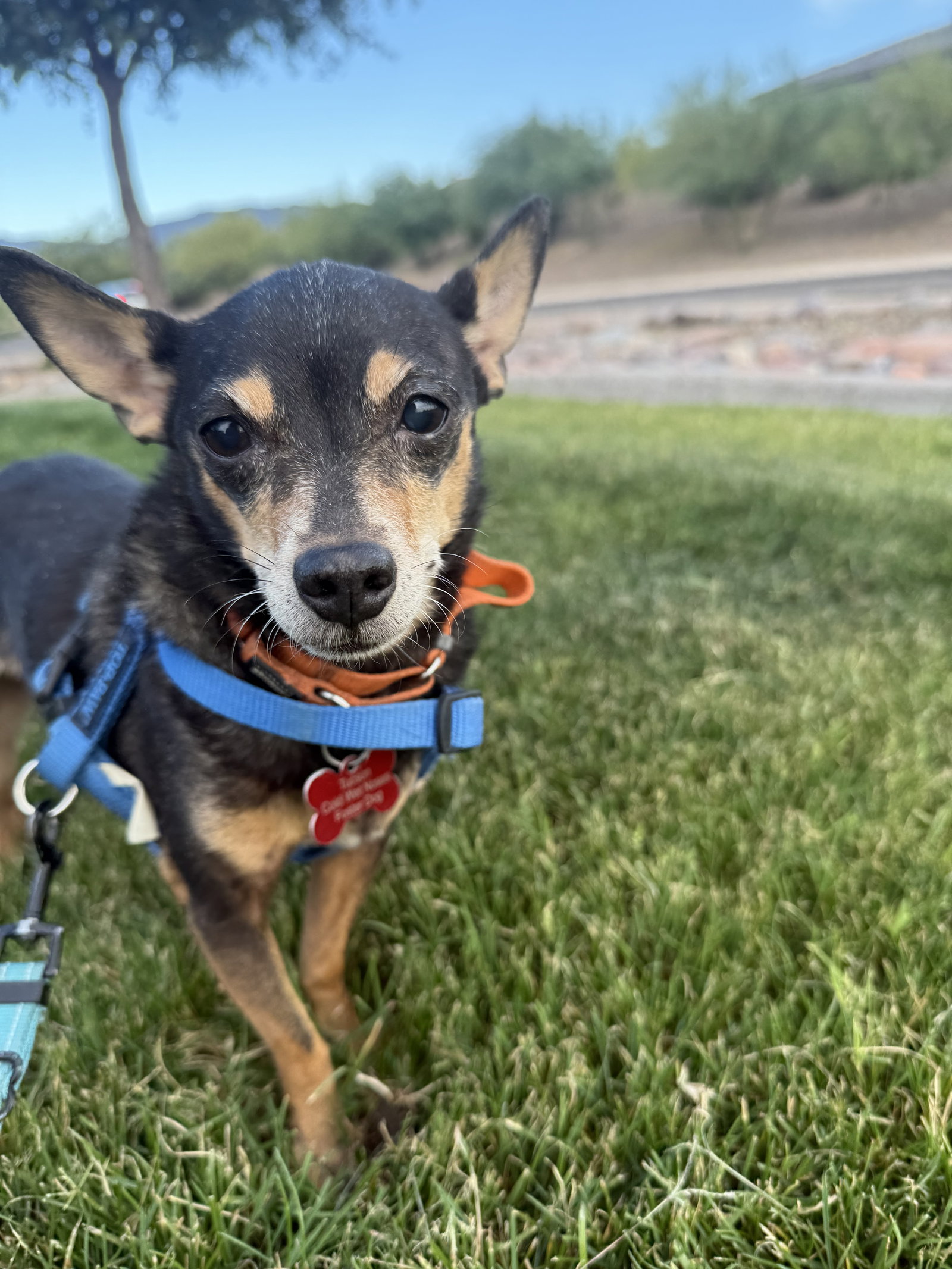 Lupita Image