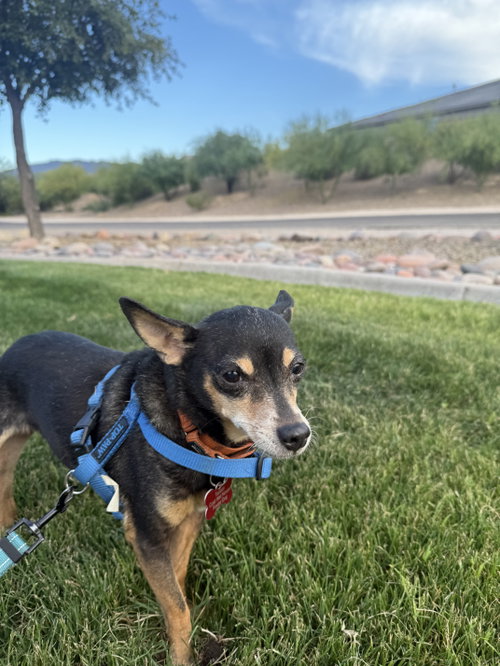 Lupita, photo 3