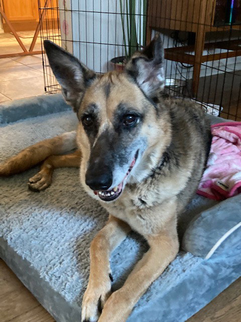 Photo 2 of Duchess
