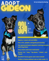 Gideon - Photo 3