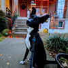 Tripp - Photo 3